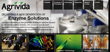 押注下一個(gè)前沿 合成生物領(lǐng)域的創(chuàng)新與投資趨勢